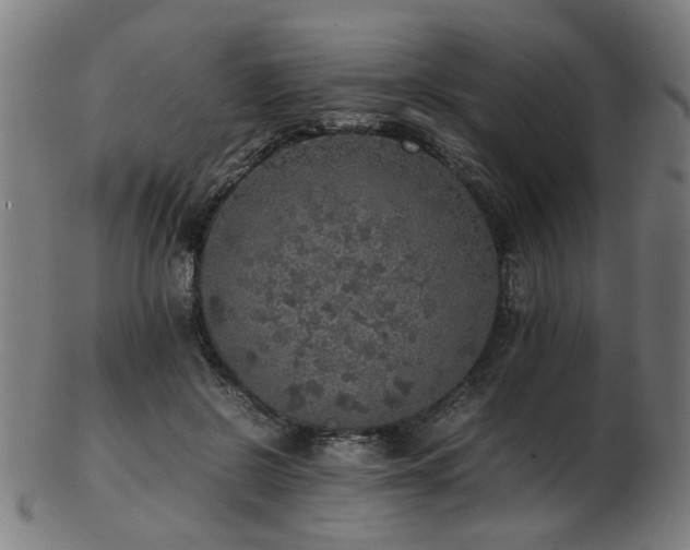 X0000103430550200809121332