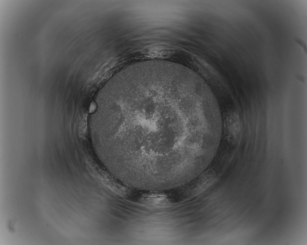 X0000103430554200809121332
