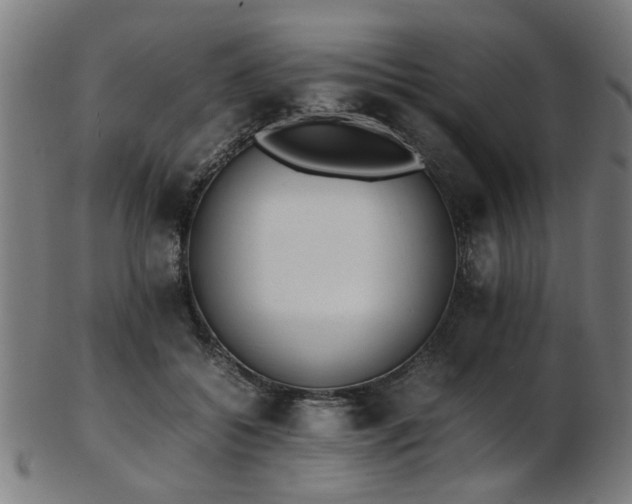 X0000103430556200809121332