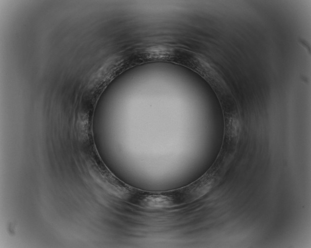 X0000103430557200809121332