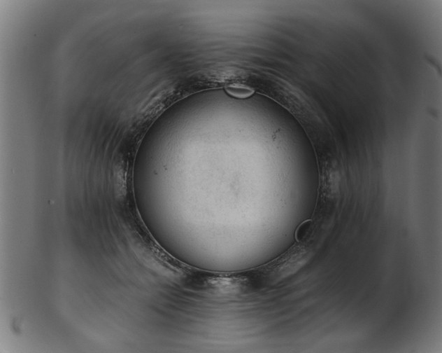 X0000103430558200809121332