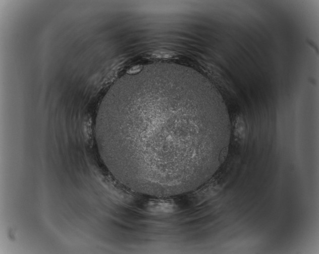 X0000103430559200809121332