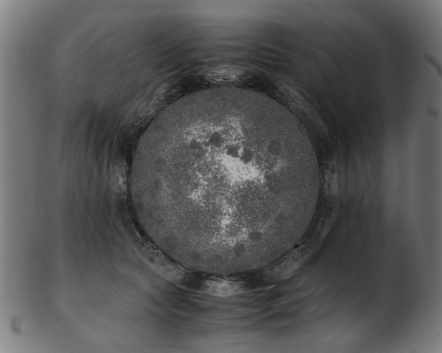 X0000103430561200809121332
