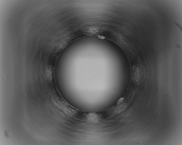 X0000103430562200809121332