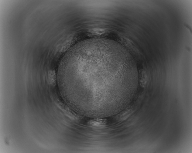 X0000103430563200809121332