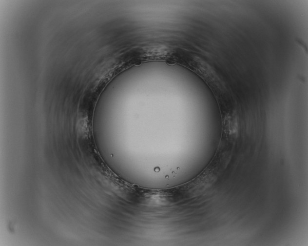 X0000103430564200809121332