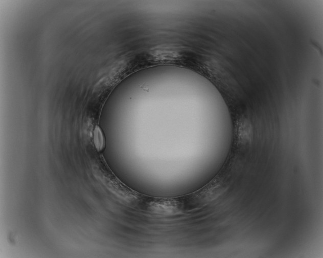X0000103430567200809121332