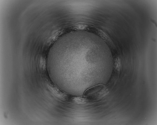 X0000103430568200809121332