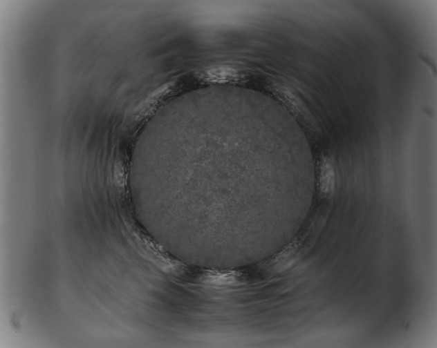 X0000103430569200809121332