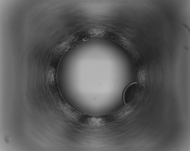 X0000103430570200809121332