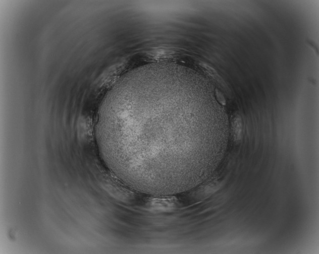 X0000103430571200809121332