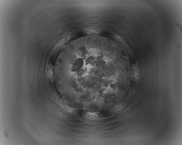X0000103430573200809121332