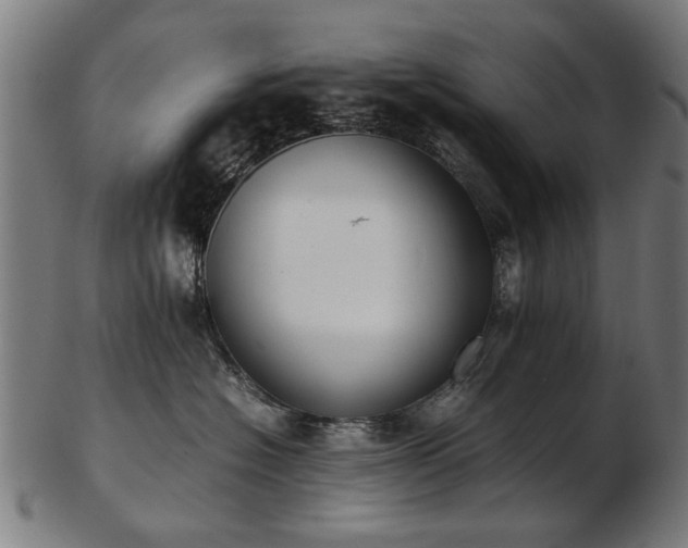 X0000103430574200809121332