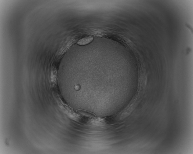 X0000103430576200809121332