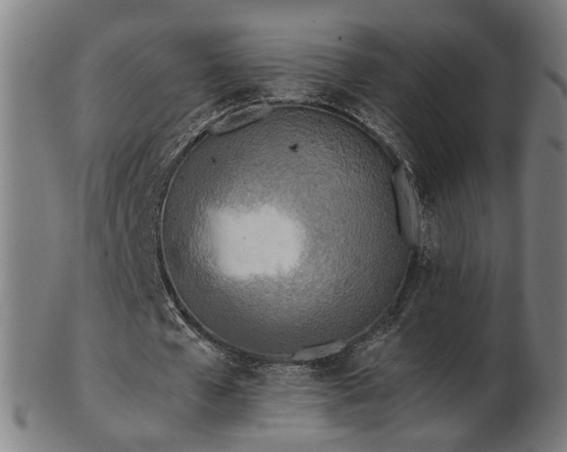 X0000103430577200809121332