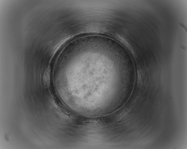 X0000103430580200809121331