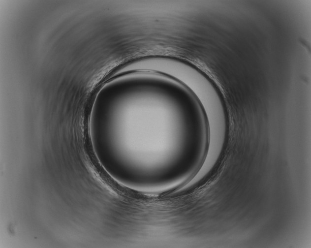 X0000103430581200809121331