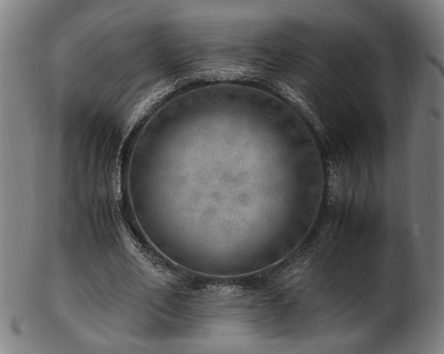 X0000103430582200809121331