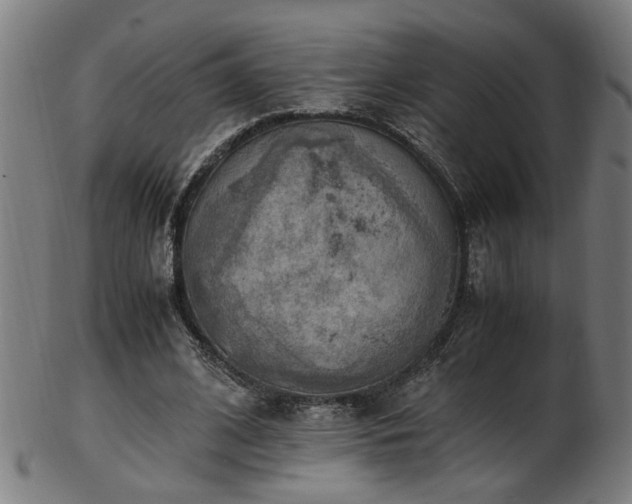 X0000103430584200809121331