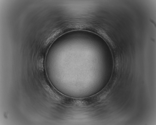 X0000103430585200809121331