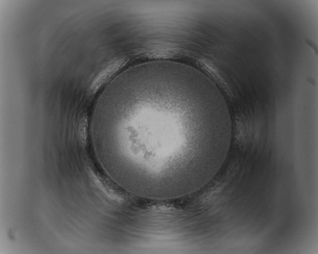 X0000103430586200809121331