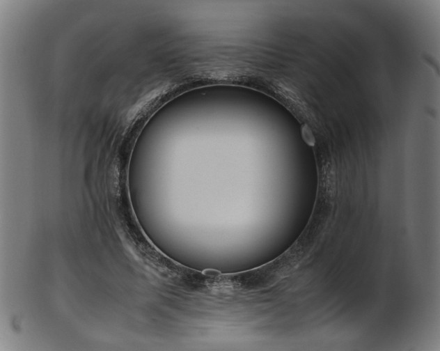 X0000103430587200809121331