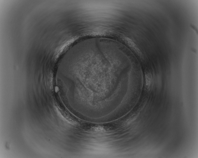 X0000103430588200809121331