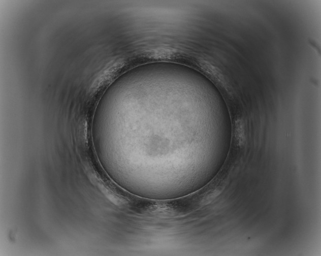 X0000103430589200809121331
