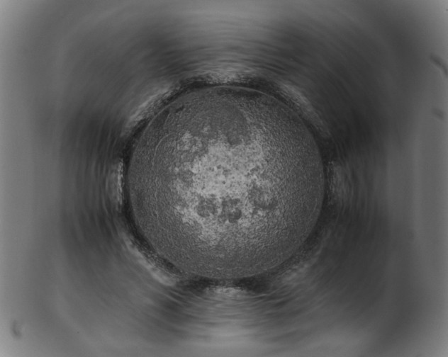X0000103430590200809121331