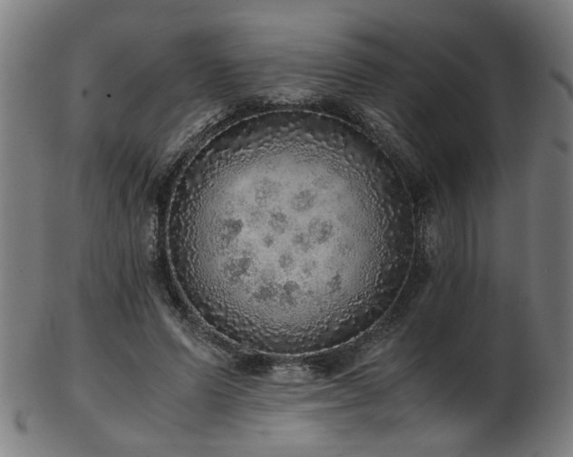 X0000103430591200809121331