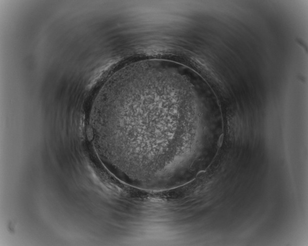 X0000103430592200809121331