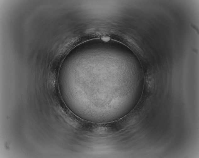 X0000103430593200809121331