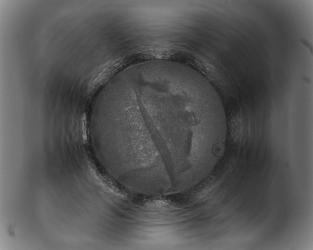 X0000103430594200809121331