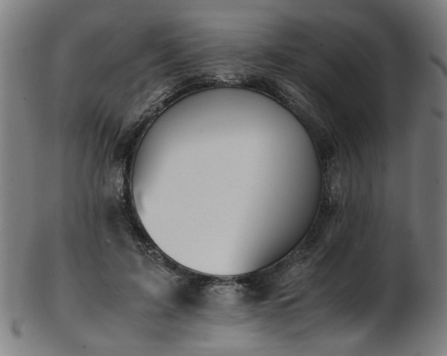 X0000103430595200809121331