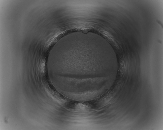 X0000103430596200809121331