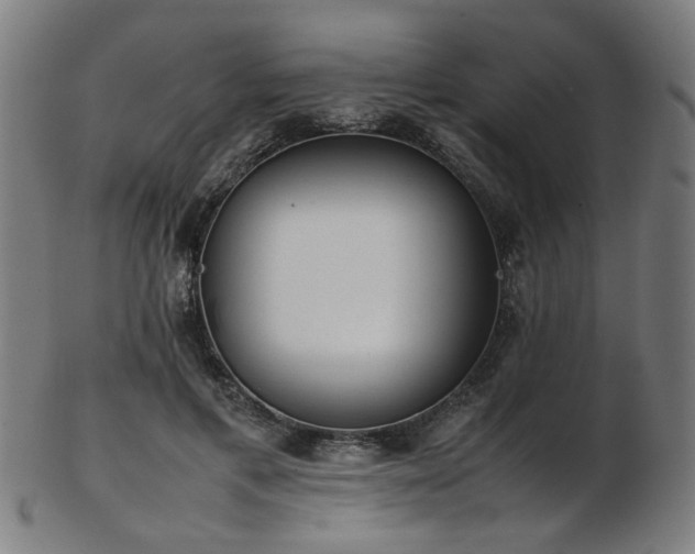 X0000103430597200809121331