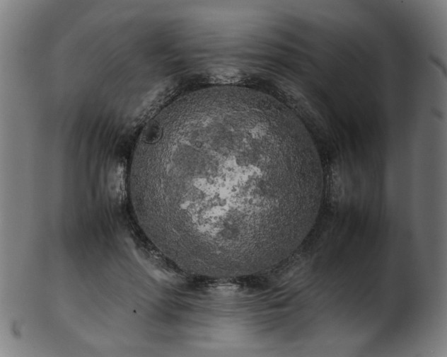 X0000103430598200809121331
