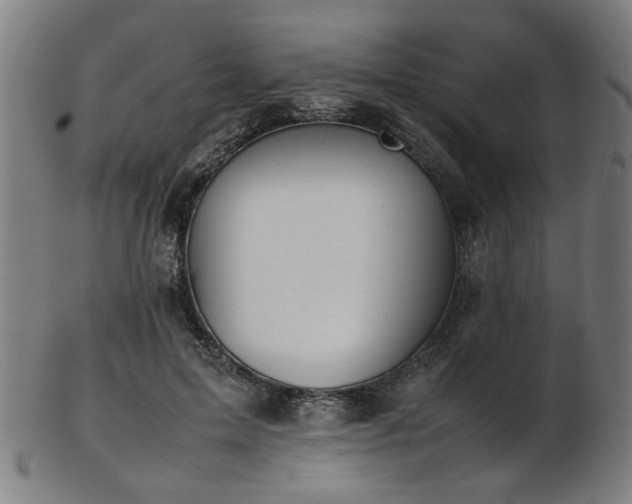 X0000103430599200809121331