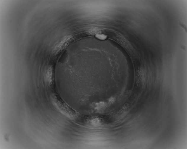 X0000103430600200809121331