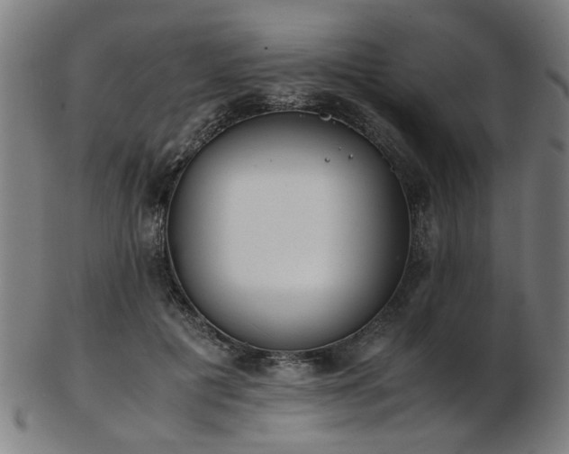 X0000103430601200809121331