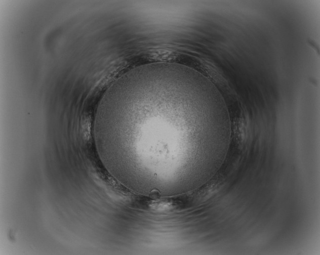 X0000103430602200809121331