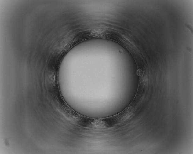 X0000103430603200809121331