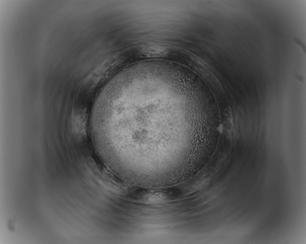 X0000103430604200809121331