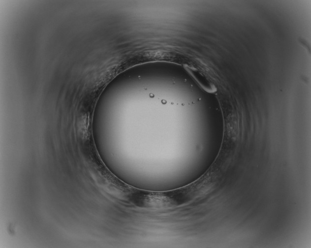 X0000103430605200809121331