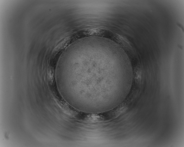 X0000103430607200809121331