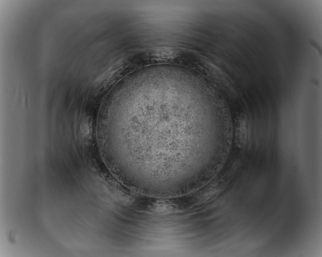 X0000103430608200809121331