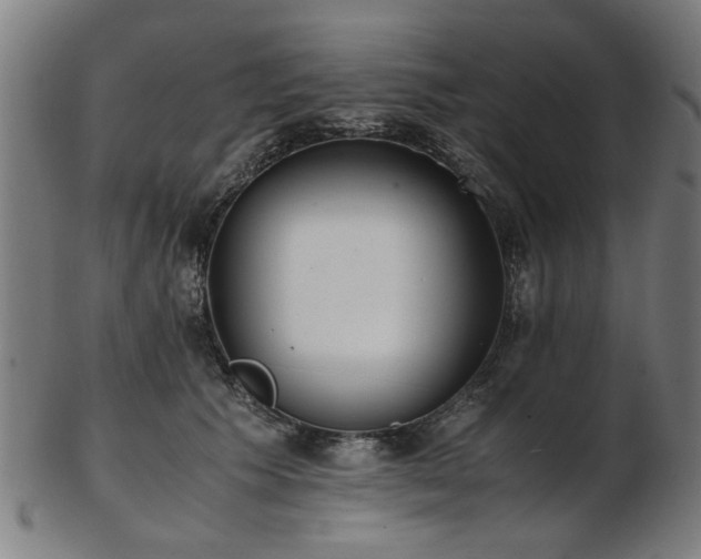 X0000103430609200809121331