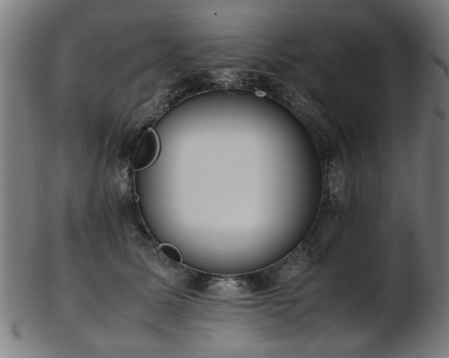 X0000103430611200809121331