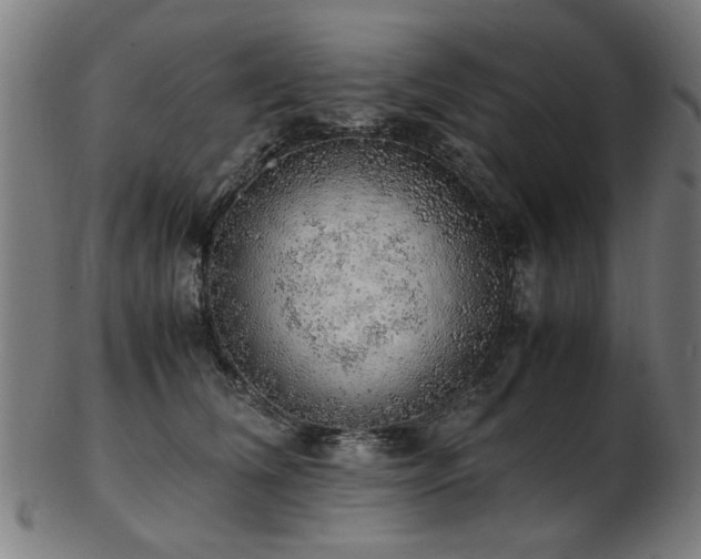 X0000103430612200809121331