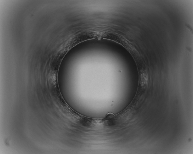 X0000103430613200809121331